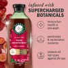 Herbal Essences Grape Seed Shampoo Color Protection and Hair Nourishment, Sulfate Free - 13.5 fl oz - 2 of 4