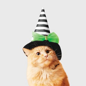 Witch Cat Headpiece Costume - Boots & Barkley™ Black One Size Fits Most - 1 of 4