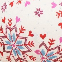 joyful snowfall c01