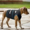 NFL Philadelphia Eagles Soothing Solution Pets Vest - image 3 of 4