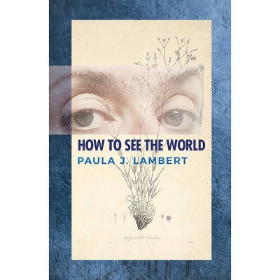 How to See the World - by  Paula J Lambert (Paperback)