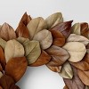 Magnolia Dried Wreath Brown - Threshold™ - image 3 of 3