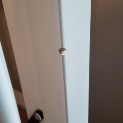Guest review image 4 of 4, zoom in