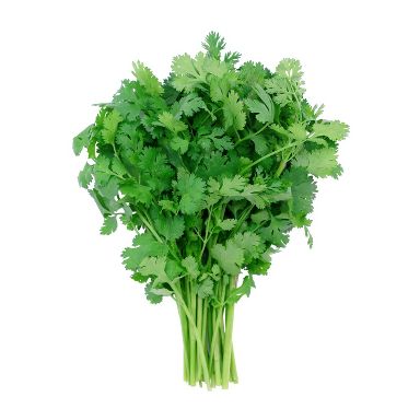 Cilantro Bunch - each