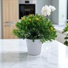 Unique Bargains Artificial Plants Mini Gypsophila Plastic 2.36"x2.36"x5.12" 1 Pc - 2 of 4