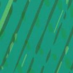 Emerald Forest