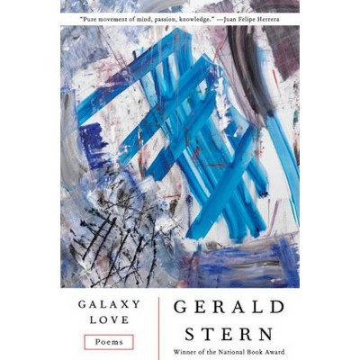 Galaxy Love - by  Gerald Stern (Paperback)