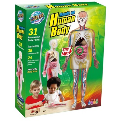 Wild! Science Hands-On Human Body Science Kit_3