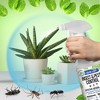 Mighty Mint Insect & Pest Control - 15oz - image 3 of 4