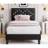 Twin/Full/Queen Upholstered Platform Bed Frame with Button Tufted Headboard & Storage - 3 of 4