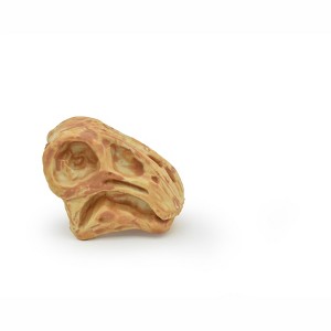 Nigersaurus, Dinosaur Skull Fossil, Very Realistic, Hard Rubber, Educational, Figure, Model, Prehistoric, Bones, Toy, Gift,   2 Inches   CH130 B231 - 1 of 4