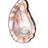 Gallerie II Blown Glass Oyster Shell Ornament - 3 of 3