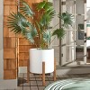 Loflen Planter - Indoor/Outdoor - PAT1515 - Safavieh - 2 of 4