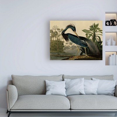 Louisiana Heron by Water Gallery-Wrapped Canvas Art