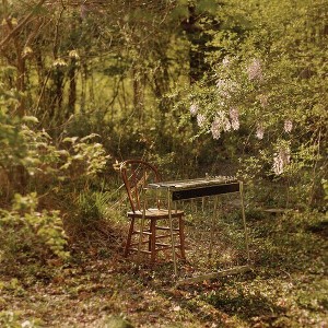 Luke Schneider - For Dancing In Quiet Light (Vinyl) - 1 of 1