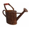 Gardener Select Metal Watering Can, Rusty, 0.92 Gallon - 2 of 2