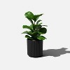 12-foot Striped Planter, Black - 2 of 4