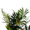 Vickerman 24" Artificial Mixed Olive Leaf Wreath - image 2 of 4