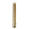 Brazos Twisted Traveler's Stick Red Oak Wood Walking Stick 55 Inch Height - 2 of 4