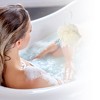 Unique Bargains Bath Brush Set 1.97"x4.72" 1 Set - 2 of 4