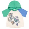 Disney Winnie the Pooh Pullover Hoodie and French Terry Shorts Toddler - 2 of 4