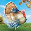 Collections Etc Turkey Metal Garden Stake Thanksgiving Decor Brown - 2 of 3
