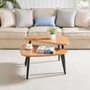 Danya B. 2pc 18.50"x29.5" Aurora Asymmetrical Modern Oval Teardrop Semi-Nested Modular Coffee Table Set - 2 of 4