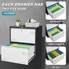 NicBex 2 Drawer Lateral File Cabinet with Lock,Under Desk Office Storage File Cabinet for Home Office Letter/Legal/A4/F4 - 4 of 4