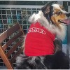 Dog Chemistry of Bacon Funny Nerdy Scientfic Animal Dog Shirt - Crazy Dog Dog Shirt Red XXL - 2 of 4