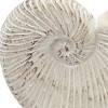 NAYSAYE Decorative Cement Nautilus Shell Planter Coastal Beach Style Pot for Living Room, Beige, 11.5"*6.7"*7.7" - 4 of 4