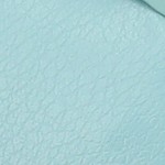 aqua
