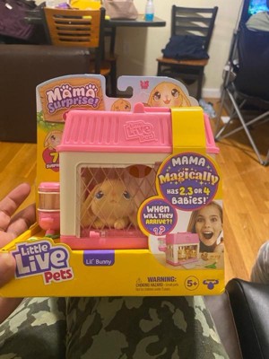 Little Live Pets - Mama Surprise Minis. Feed and Nurture a Lil' Mouse. She  has 2, 3, or 4 Babies with Surprise Accessories to Dress Up The Babies for