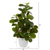 Nearly Natural 16-in Peperomia Artificial Plant in Decorative Planter - 2 of 4