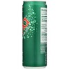 Zevia Ginger Ale Zero Calorie Soda - Case of 12/12 oz - 4 of 4