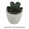 Unique Bargains Artificial Plants Mini Poppy in Pulp Plastic Green 2.76"x2.76"x2.95" 1 Pcs - 3 of 4
