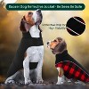 Dog Winter Coat, Reversible Waterproof Dog Jacket with Reflective Strip, Warm Dogs Fleece Vest Adjustable Plaid Christmas Doggy Cold Weather Clothes - 3 of 4