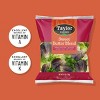 Taylor Farms Butter Lettuce-  6.5oz - 3 of 4