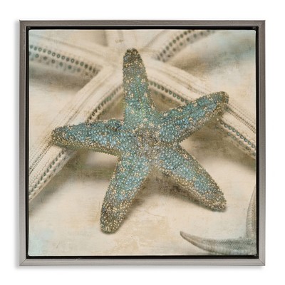 Stupell Industries Distressed Texture Starfish, 18" x 18"