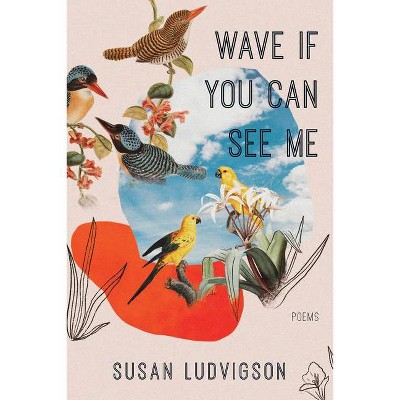 Wave If You Can See Me - by  Susan Ludvigson (Paperback)