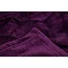Mintra Home Blanket - 4 of 4
