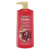 Caress Body Wash with Pump Tahitian Pomegranate & Coconut Milk, 25.4 oz - 2 of 4