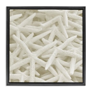 Stupell Industries Nautical White Starfish Photography, 25" x 25" - 1 of 4