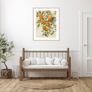 Amanti Art Branch of Oranges I by Jacob Q Wood Framed Wall Art Print - 1 of 4