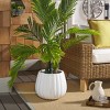 Kaston Concrete Ficonstone Planter - Indoor/Outdoor - PAT1522 - Safavieh - 2 of 4