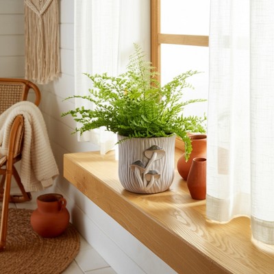 Handcrafted Cement Planter with Textured Tree Trunk Design and Mushroom Accents - Decorative Pot for Indoor and Outdoor Spaces