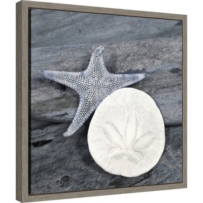 Nautical Shell Still Life Canvas Art in Blue-Gray Frame