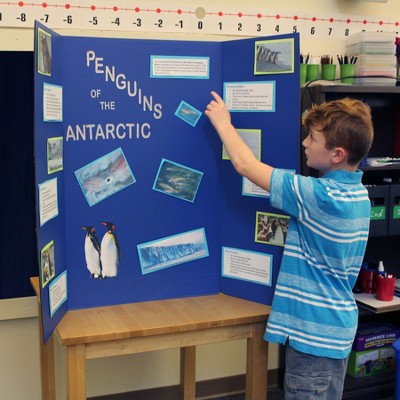 Blue Corrugated 36" x 48" Tri-Fold Poster Board Box