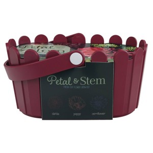 Buzzy Seeds Petal and Stem Fresh Cut Flower Garden Seed Kit - 1 of 4