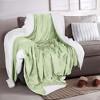 Velvet Plush Blanket with Faux Shearling Reverse - Great Bay Home - 2 of 4