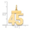 Black Bow Jewelry 14k Yellow Gold, Athletic Collection, Small Polished Number 45 Pendant - 2 of 3